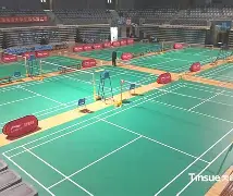 关于羽毛球巡回赛，岭东铁骑队与渝州海豚队淘汰对手，阵地战处理得当！定海神针仍在的信息