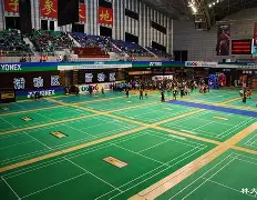 关于羽毛球巡回赛，岭东铁骑队与渝州海豚队淘汰对手，阵地战处理得当！定海神针仍在的信息